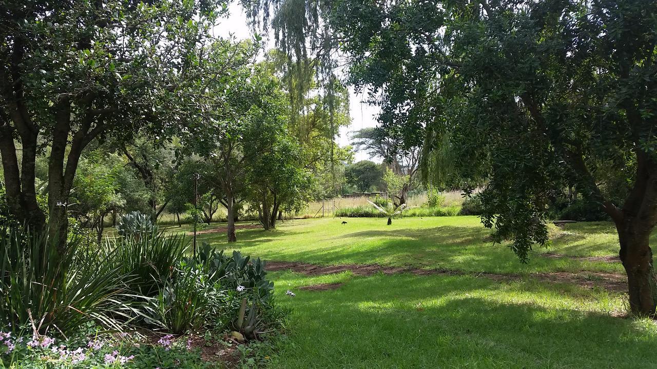 Amberhall Guesthouse Johannesburg Exterior photo